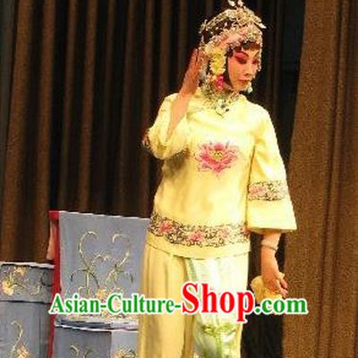 Chinese Beijing Opera Young Lady Apparels Xiu Ru Ji Costumes and Headpieces Traditional Peking Opera Hua Tan Li Yaxian Dress