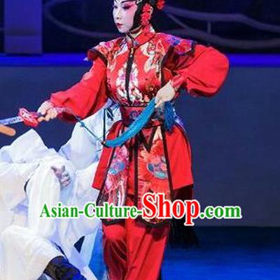 Chinese Beijing Opera Female Swordsman Red Apparels Lan Ruo Wu Geng Costumes and Headdress Traditional Peking Opera Wudan Dress Heroine Garment