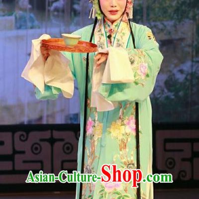 Chinese Beijing Opera Hua Tan Apparels Nan Jie Guan Costumes and Headdress Traditional Peking Opera Actress Dress Diva Xie Jinhua Garment