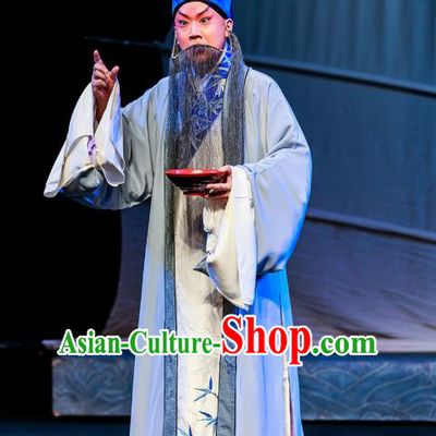 Six Chapters of A Floating Life Chinese Peking Opera Laosheng Apparels Costumes and Headpieces Beijing Opera Elderly Male Garment Scholar Shen Fu Clothing