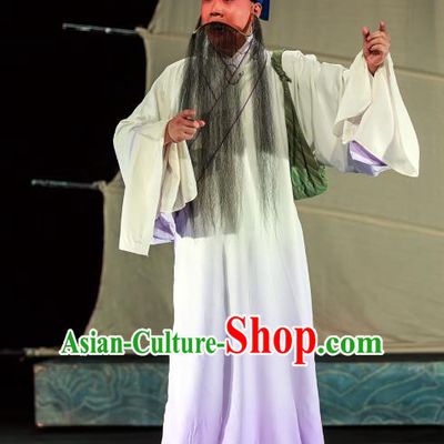 Six Chapters of A Floating Life Chinese Peking Opera Scholar Shen Fu Apparels Costumes and Headpieces Beijing Opera Laosheng Garment Elderly Male Clothing