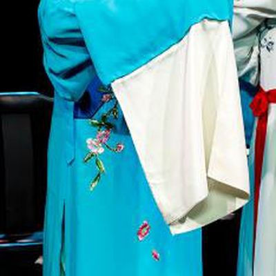 Xi Jiao Chinese Peking Opera Xiaosheng Zhang Wenyuan Garment Costumes and Headwear Beijing Opera Young Male Apparels Scholar Robe Clothing
