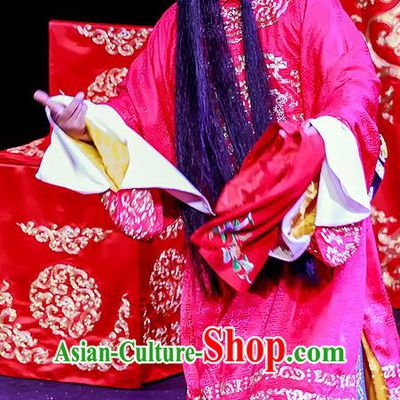 Chun Ri Yan Chinese Peking Opera Bridegroom Fan Sheng Garment Costumes and Headwear Beijing Opera Official Apparels General Clothing
