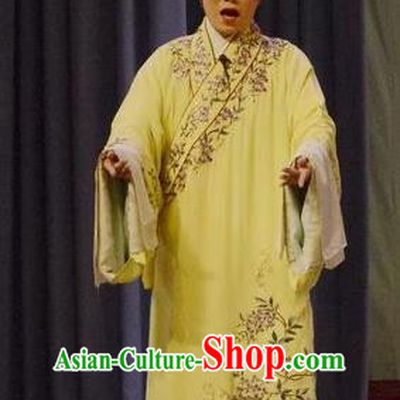 Shen Ting Ling Chinese Peking Opera Xiaosheng Apparels Costumes and Headpieces Beijing Opera Garment Young Male Clothing