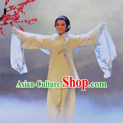 Chinese Beijing Opera Garment Luo Mei Yin Costumes and Hair Accessories Traditional Peking Opera Young Female Dress Diva Mei Fen Apparels