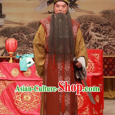 Ye Zhu Lin Chinese Peking Opera Laosheng Apparels Costumes and Headpieces Beijing Opera Elderly Male Song Jiang Garment Clothing