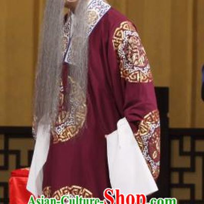 Jin Yunu Chinese Peking Opera Elderly Male Apparels Costumes and Headpieces Beijing Opera Official Garment Laosheng Lin Run Clothing