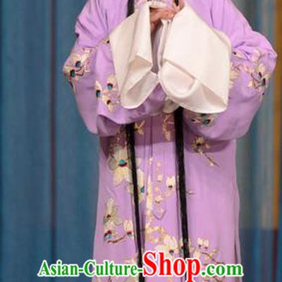 Chinese Beijing Opera Huadan Garment Snow in June Costumes and Hair Accessories Traditional Peking Opera Actress Purple Dress Distress Maiden Apparels