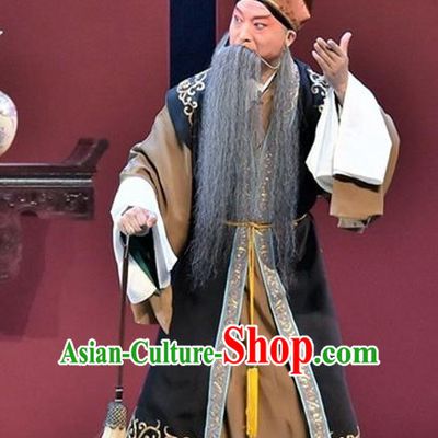 Ming City Wall Chinese Peking Opera Laosheng Apparels Costumes and Headpieces Beijing Opera Elderly Male Garment Taoist Clothing