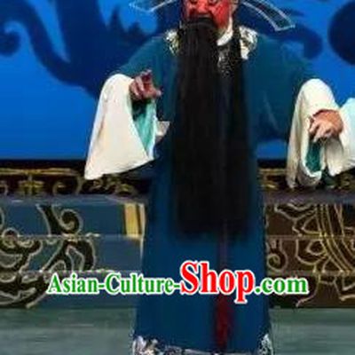 Hua Long Dian Jing Chinese Peking Opera Jing Apparels Costumes and Headpieces Beijing Opera Elderly Male Garment Official Clothing