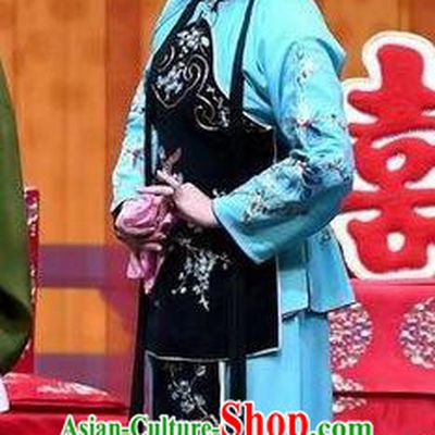 Chinese Beijing Opera Young Lady Garment Jie Mei Yi Jia Costumes and Hair Accessories Traditional Peking Opera Xiaodan Dress Actress Zhang Sumei Apparels