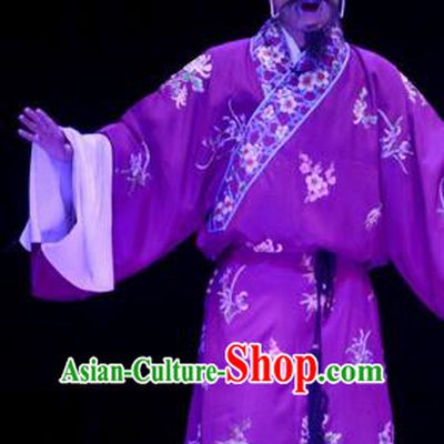 Li Sanniang Chinese Ping Opera Chou Garment Costumes and Headwear Pingju Opera Clown Purple Robe Apparels Clothing