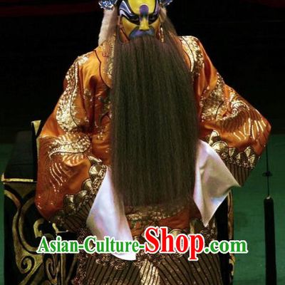 Ding Sheng Chun Qiu Chinese Peking Opera Laosheng Apparels Costumes and Headpieces Beijing Opera Lord Garment King Ji Liao Clothing