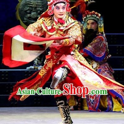 The Tiger Generals Chinese Peking Opera General Li Cunxiao Apparels Costumes and Headpieces Beijing Opera Martial Male Garment Wusheng Clothing