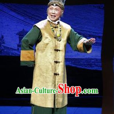 Chinese Beijing Opera Elderly Female Garment Da Sheng Kui Costumes and Hair Accessories Traditional Peking Opera Dame Hai Qingshen Dress Apparels