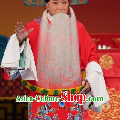 Chinese Peking Opera Elderly Male Apparels Costumes and Headpieces Beijing Opera Laosheng Garment Censor Chen Zhi Clothing