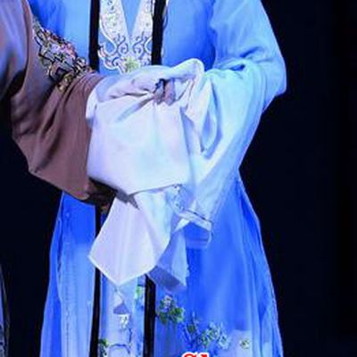 Chinese Ping Opera Actress Zhao Jintang Apparels Costumes and Headpieces Zhao Jintang Traditional Pingju Opera Young Mistress Dress Garment