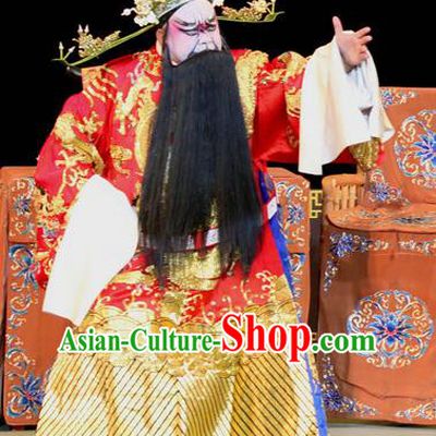 Fen Xiang Ji Chinese Sichuan Opera Official Apparels Costumes and Headpieces Peking Opera Laosheng Garment Elderly Male Python Embroidered Robe Clothing