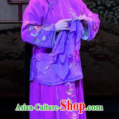 Chinese Ping Opera Elderly Female Apparels Costumes and Headpieces Zhao Jintang Traditional Pingju Opera Aunt Song Dress Garment
