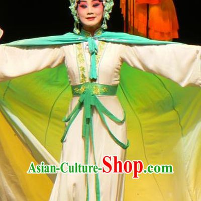 Chinese Sichuan Opera Ghost Red Plum Li Huiniang Garment Costumes and Hair Accessories Traditional Peking Opera Actress Dress Hua Tan Apparels
