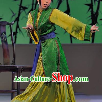 Chinese Sichuan Opera Concubine Zhao Garment Costumes and Hair Accessories Traditional Peking Opera Xue Baochai Dress Actress Apparels