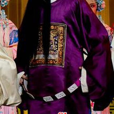 Jin Dian Shen La Chinese Sichuan Opera Laosheng Apparels Costumes and Headpieces Peking Opera Elderly Male Garment Minister Clothing