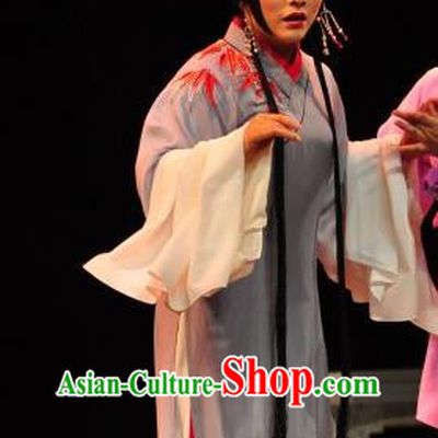 Chinese Sichuan Opera Distress Maiden Garment Costumes and Hair Accessories Traditional Peking Opera Courtesan Li Yaxian Dress Diva Apparels