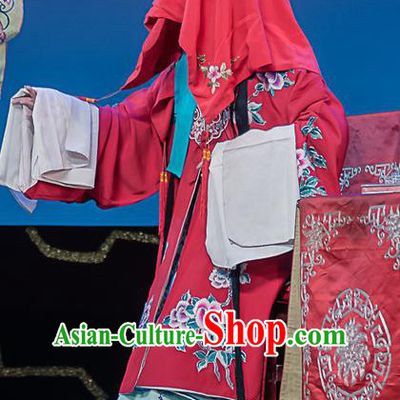 Chinese Sichuan Opera Bride Garment Costumes and Hair Accessories Ci Tang Chen Traditional Peking Opera Young Female Dress Diva Xue Yan Apparels