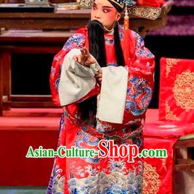 Qin Xianglian Chinese Sichuan Opera Laosheng Apparels Costumes and Headpieces Peking Opera Elderly Male Garment Scholar Chen Shimei Clothing
