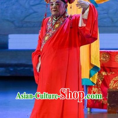 He Zhu Pei Chinese Sichuan Opera Bridegroom Apparels Costumes and Headpieces Peking Opera Xiaosheng Garment Scholar Zhao Peng Clothing