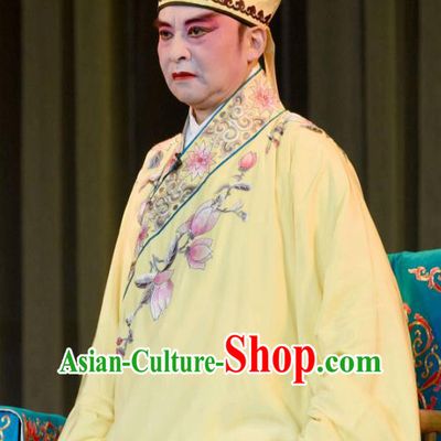 Fang You Chinese Sichuan Opera Niche Apparels Costumes and Headpieces Peking Opera Xiaosheng Garment Scholar Liang Shanbo Clothing