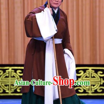 Chinese Beijing Opera Pantaloon Apparels Costumes and Headpieces Gold Turtle Fishing Traditional Peking Opera Laodan Dress Garment