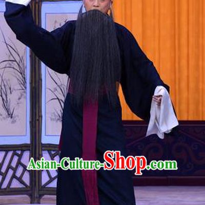 Sister Thirteen Chinese Peking Opera Laosheng An Xuehai Garment Costumes and Headwear Beijing Opera Apparels Elderly Male Clothing