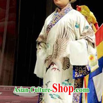 Sacrifice Zhao Shi Gu Er Chinese Peking Opera Official Garment Costumes and Headwear Beijing Opera Minister Apparels Clothing
