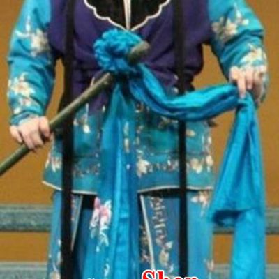 Chinese Beijing Opera Apparels Costumes and Headpieces Revenge of the Fisherman Traditional Peking Opera Fisher Maiden Xiao Guiying Dress Garment