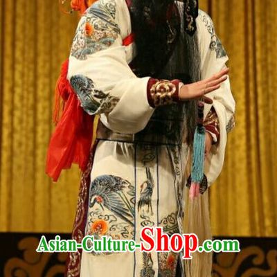 Qing Shi Mountain Chinese Peking Opera Immortal Garment Costumes and Headwear Beijing Opera Taoist Lv Dongbin Apparels Elderly Male Clothing
