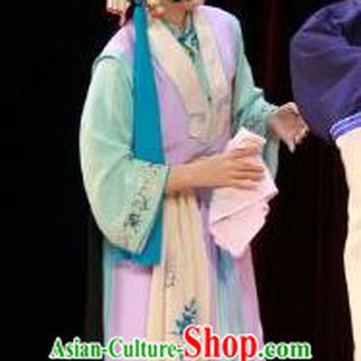 Chinese Beijing Opera Young Lady Apparels Costumes and Headdress The Mirror of Fortune Traditional Peking Opera Xiaodan Shou Chun Dress Maidservant Garment