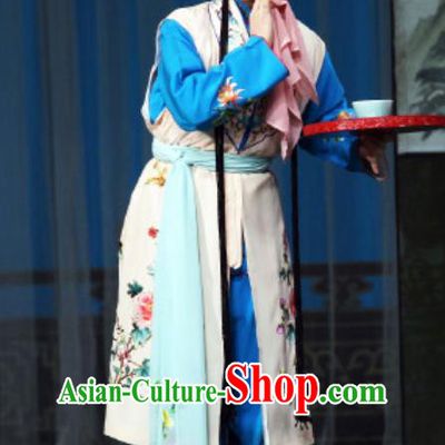 Chinese Beijing Opera Young Lady Apparels Costumes and Headdress The Mirror of Fortune Traditional Peking Opera Xiaodan Dress Maidservant Shou Chun Garment