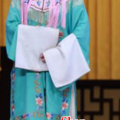 Chinese Beijing Opera Xiaodan Apparels Young Female Costumes and Headdress Fa Men Temple Traditional Peking Opera Court Maid Dress Garment