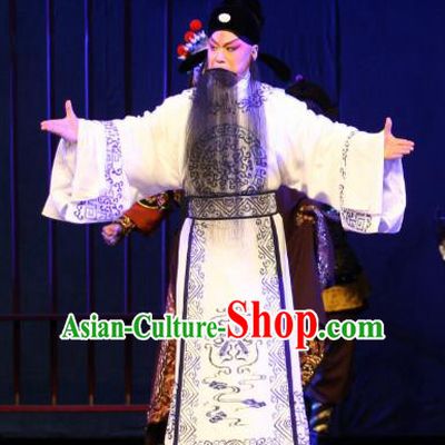 Da Meng Chang Ge Chinese Peking Opera Laosheng Xin Qiji Garment Costumes and Headwear Beijing Opera Elderly Male Apparels Clothing