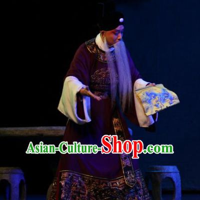 Da Meng Chang Ge Chinese Peking Opera Official Garment Costumes and Headwear Beijing Opera Laosheng Elderly Male Xin Qiji Apparels Clothing
