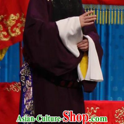 Qun Jie Hua Chinese Peking Opera Laosheng Elderly Male Garment Costumes and Headwear Beijing Opera Apparels Official Clothing
