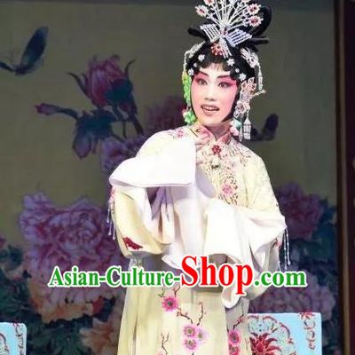 Chinese Beijing Opera Young Female Apparels Costumes and Headdress Han Ming Fei Traditional Peking Opera Actress Wang Zhaojun Dress Hua Tan Garment