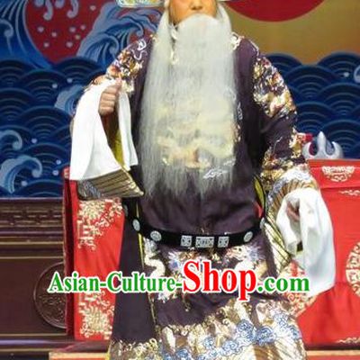 The Story of Jade Bracelet Chinese Bangzi Opera Laosheng Apparels Costumes and Headpieces Traditional Hebei Clapper Opera Elderly Male Garment Censor Chen Zhi Clothing