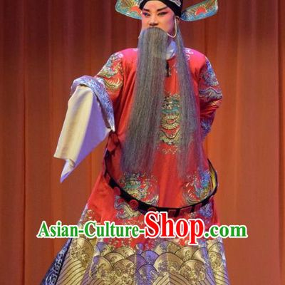 Han Yang Court Chinese Shanxi Opera Censor Hai Rui Apparels Costumes and Headpieces Traditional Jin Opera Elderly Male Garment Minister Clothing