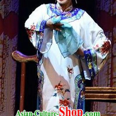 Chinese Jin Opera Qing Dynasty Woman Garment Costumes and Headdress Da Qing Yu Shi Traditional Shanxi Opera Hua Tan Dress Young Mistress Apparels