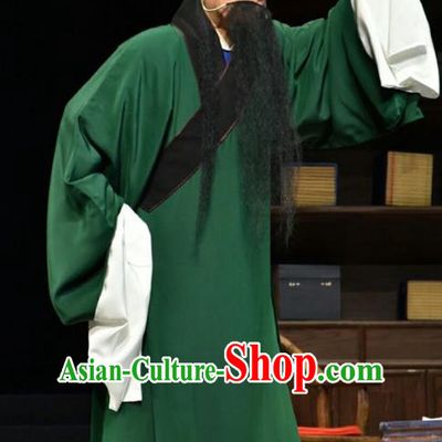 Fan Jin Zhong Ju Chinese Shanxi Opera Old Man Apparels Costumes and Headpieces Traditional Jin Opera Laosheng Garment Elderly Scholar Green Clothing