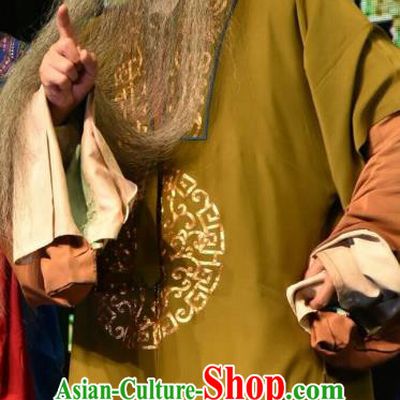 Zhao Jintang Chinese Shanxi Opera Landlord Apparels Costumes and Headpieces Traditional Jin Opera Elderly Man Garment Laosheng Clothing