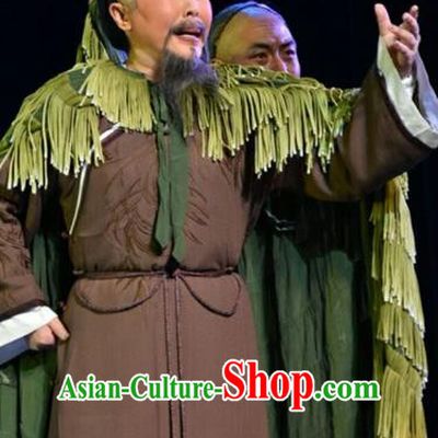 He Qing Hai Yan Chinese Shanxi Opera Qing Dynasty Official Apparels Costumes and Headpieces Traditional Jin Opera Elderly Male Li Yumei Garment Clothing