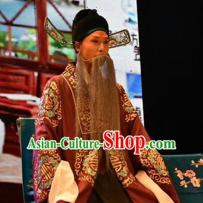 Tears in Suzhou Chinese Shanxi Opera Landlord Apparels Costumes and Headpieces Traditional Jin Opera Elderly Male Garment Magistrate Clothing